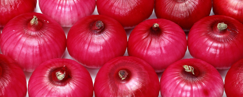 洋葱叶子软下垂是咋回事（葱子叶子发黄下垂）