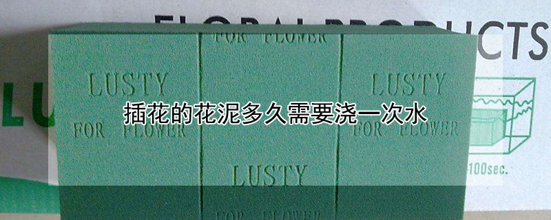插花的花泥多久需要浇一次水（插花的花泥多久需要浇一次水和水）