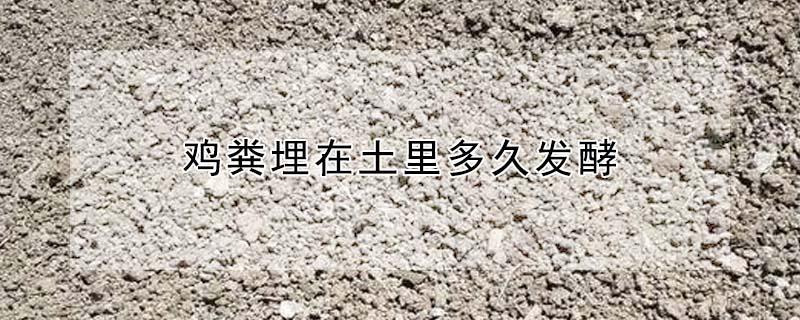 鸡粪埋在土里多久发酵 鸡粪埋在土里多久发酵一次