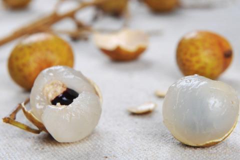 桂花和桂圆有关系吗