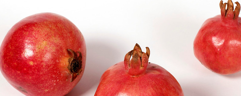 石榴籽怎么种能发芽（石榴籽怎么种能发芽长大）