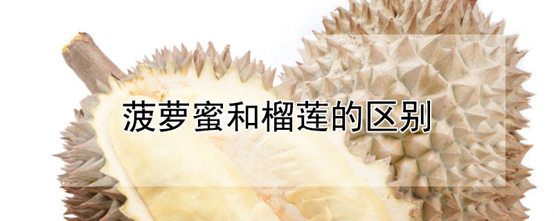 菠萝蜜和榴莲的区别 菠萝蜜和榴莲的区别图片