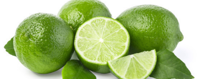 柠檬怕冻吗（柠檬怕霜冻吗）