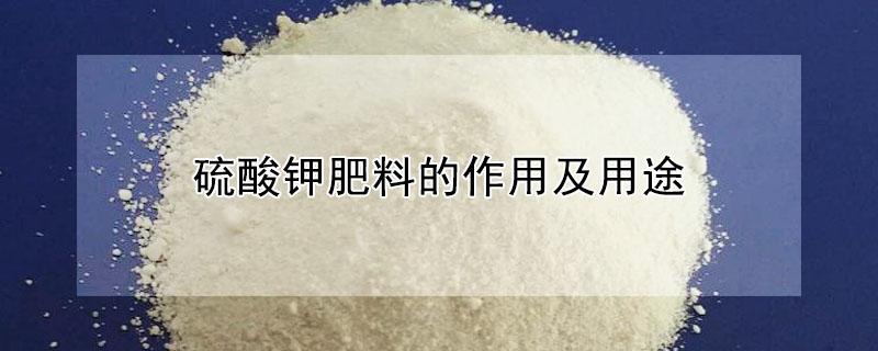 硫酸钾肥料的作用及用途 硫酸钾肥料的作用及用途可用桉树玛