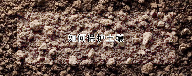 如何保护土壤（如何保护土壤的建议）