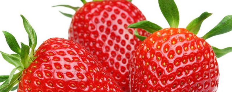 世界上有几种莓 世界上有几种莓果