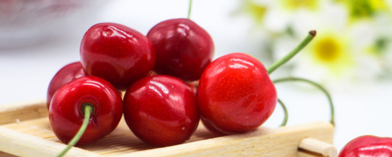 车厘子是樱桃吗 车厘子与樱桃有什么区别
