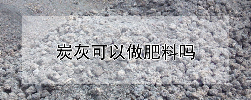 炭灰可以做肥料吗 炭灰可以做肥料吗视频