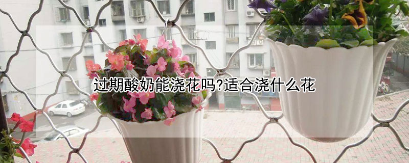 过期酸奶能浇花吗?适合浇什么花（过期的酸奶可以浇花吗浇什么花）