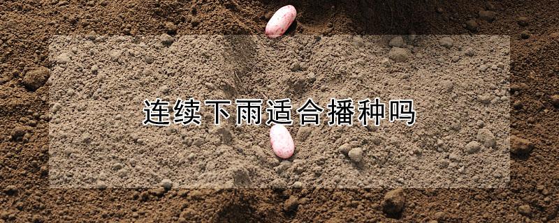 连续下雨适合播种吗（雨季适合播种吗）