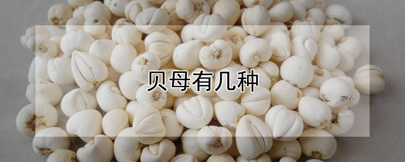 贝母有几种 中药贝母有几种