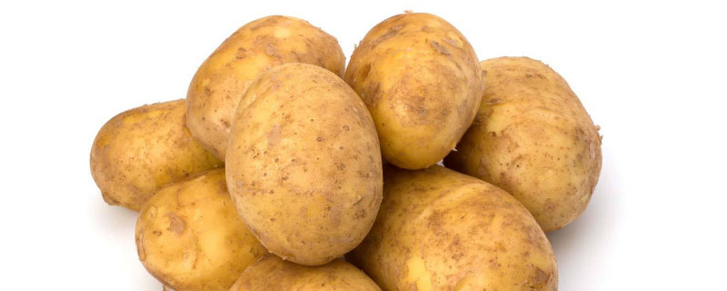 如何给土豆催芽 如何给土豆催芽最快