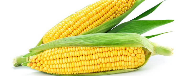 玉米怎么才能高产（玉米怎么才能高产丰收）