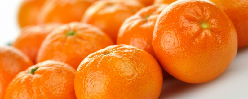 年桔怎么浇水 年桔浇水可浇果上吗