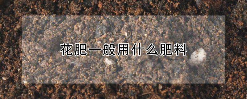 花肥一般用什么肥料（花肥一般用什么肥料最好）