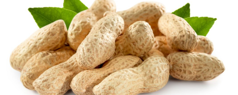 花生种植施肥技术 花生种植技术与施肥