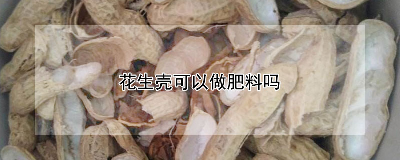 花生壳可以做肥料吗（花生壳可以做肥料吗视频）
