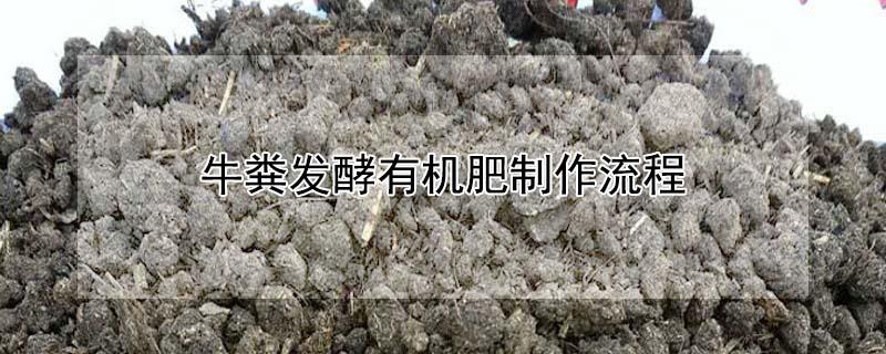 牛粪发酵有机肥制作流程 牛粪怎样发酵成有机肥