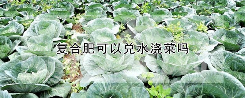 复合肥可以兑水浇菜吗 复合肥可以兑水浇菜苗吗