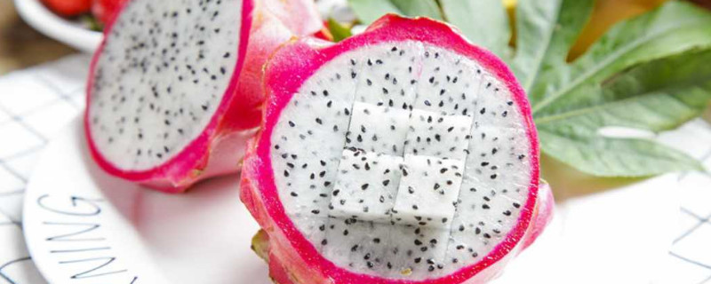 白心火龙果变透明了 白心火龙果变透明了是坏了吗