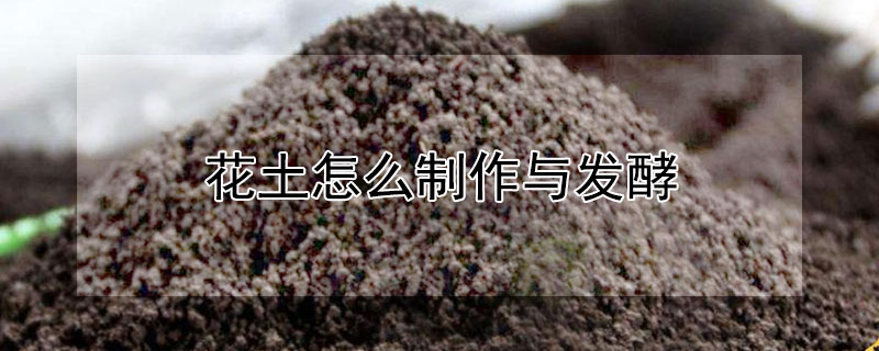 花土怎么制作与发酵（花土怎么制作与发酵的区别）
