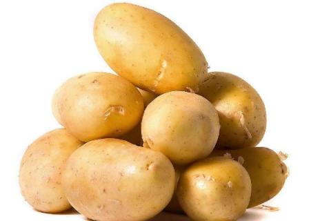 土豆种植时间和方法