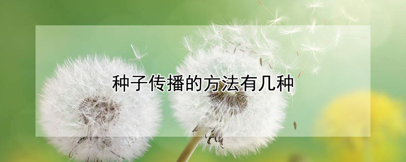 种子传播的方法有几种（种子传播的方法有几种画出来）