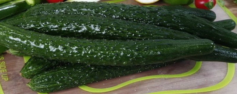 大蒜下茬适合种植什么 种大蒜要注意什么什么时候种最好