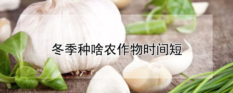 冬季种啥农作物时间短（什么农作物冬天种）