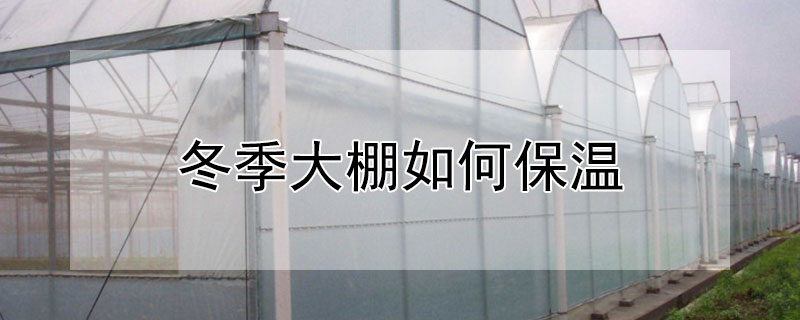 冬季大棚如何保温 冬季大棚如何保温透气