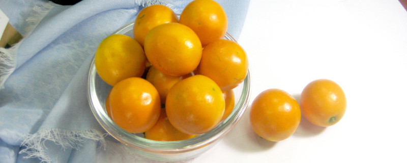 金桔移栽要注意什么 金桔移栽要注意什么事项