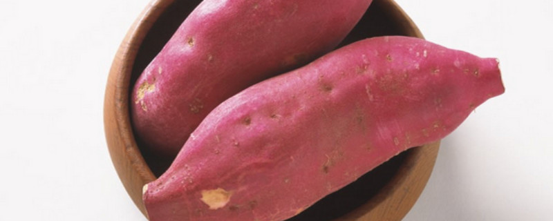 地瓜怕冻吗 煮熟的地瓜怕冻吗