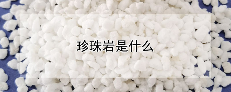 珍珠岩是什么 珍珠岩是什么材料做的