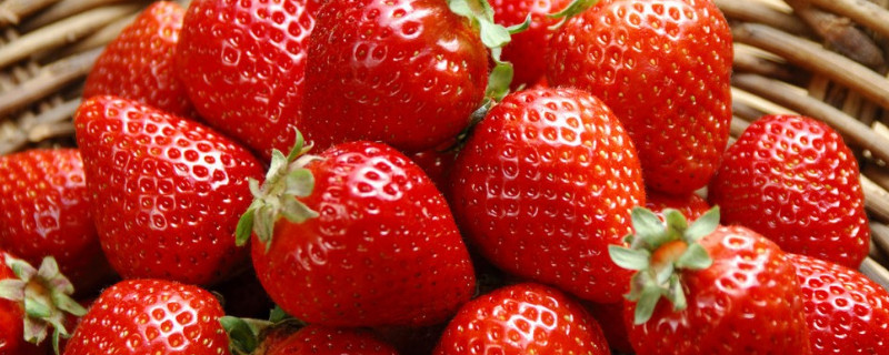 12月的草莓能吃吗（现在的草莓能吃吗12月）