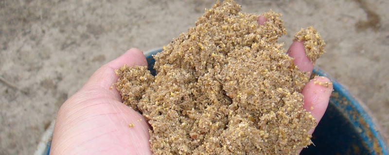 豆渣可以做花肥吗（豆渣可以做花肥吗?）