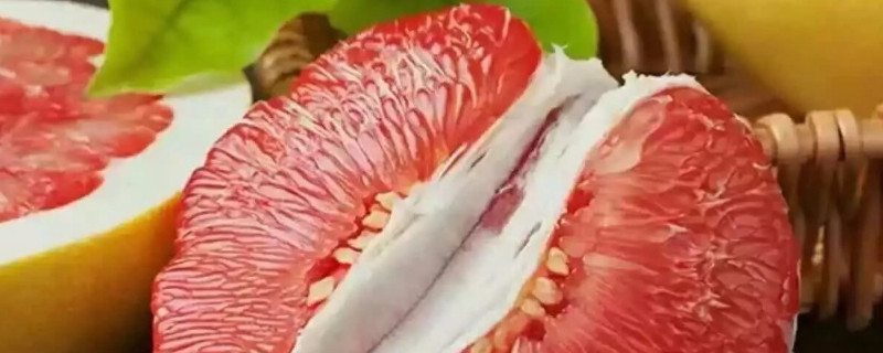 红心柚子怕冻吗 红心柚子树怕冻吗