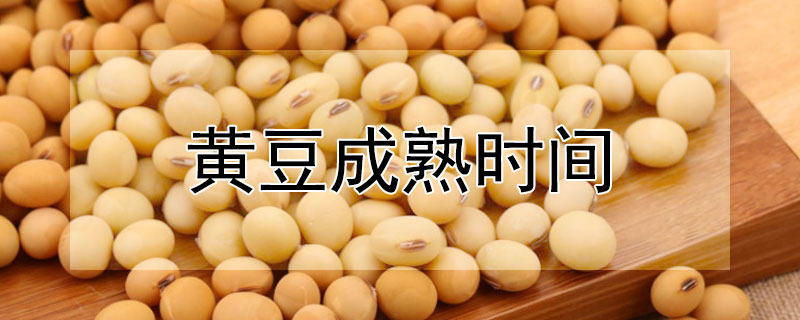 黄豆成熟时间 黄豆成熟时间是几月份