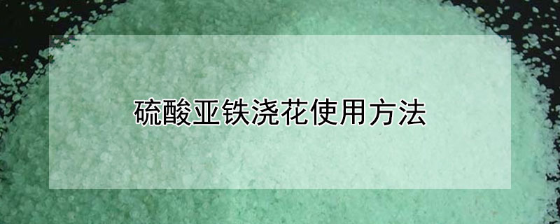 硫酸亚铁浇花使用方法 桂花硫酸亚铁浇花使用方法