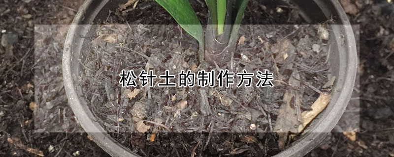 松针土的制作方法（松针土怎么制作）