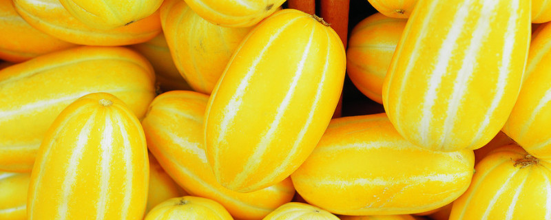 甜瓜是水果还是蔬菜 西甜瓜是蔬菜还是水果