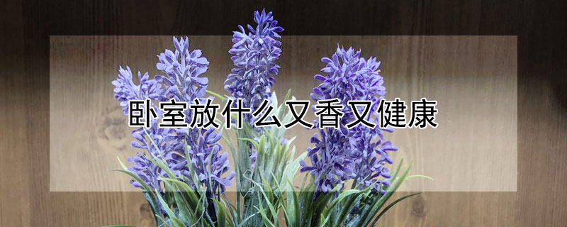 卧室放什么又香又健康（卧室放什么香好）
