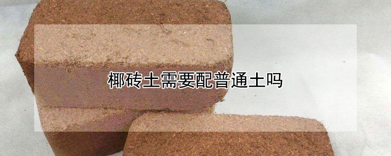 椰砖土需要配普通土吗 椰砖土配普通土比例