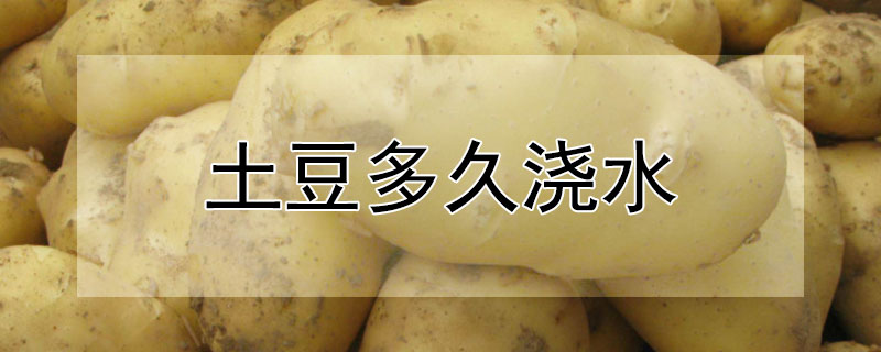 土豆多久浇水 土豆多久浇水合适