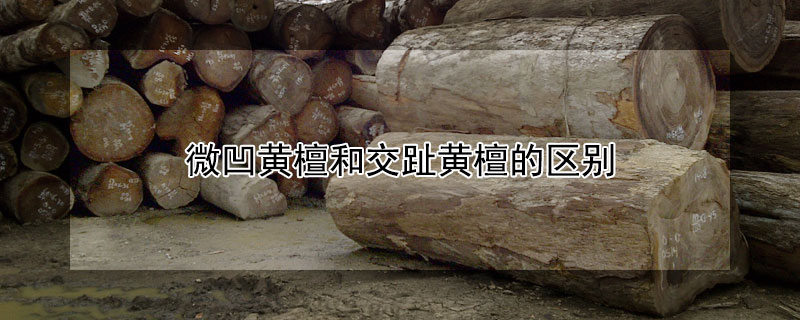 微凹黄檀和交趾黄檀的区别（微凹黄檀和交趾黄檀哪个木质稳定性好）