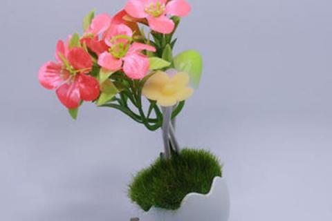 五叶梅放卧室有毒吗