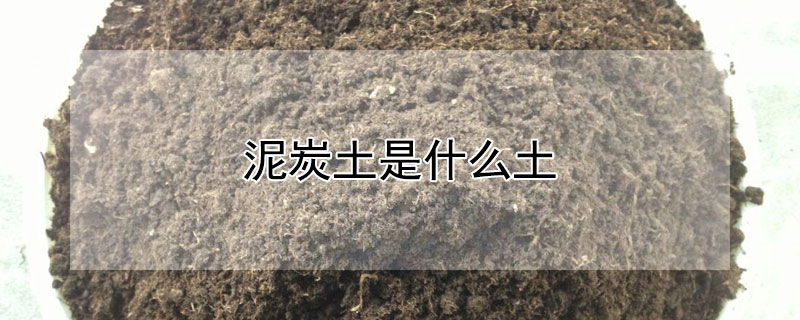 泥炭土是什么土（泥炭土是什么土?）