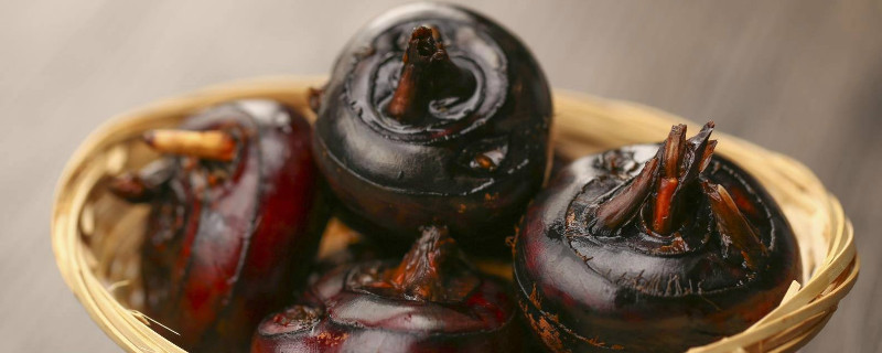 荸荠栽培技术 荸荠栽培技术视频