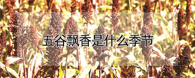 五谷飘香是什么季节 五谷飘香是什么季节吃的