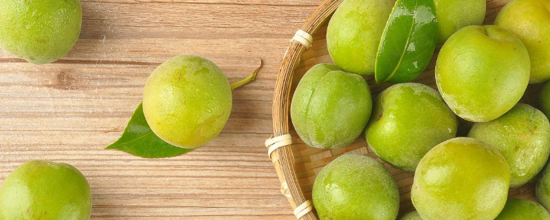 青梅与杏梅的区别（青梅和杏梅一样吗）