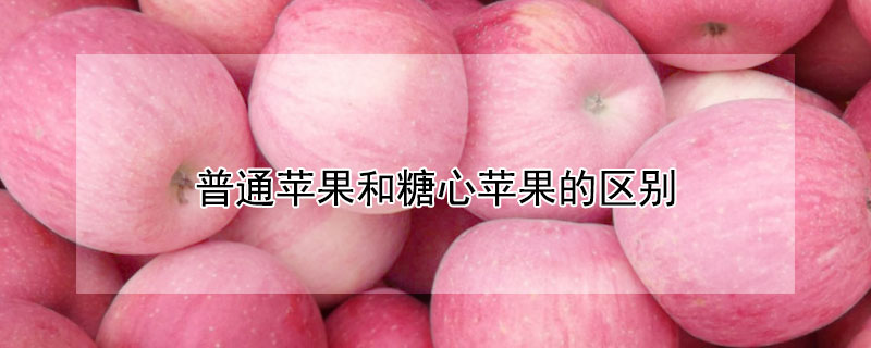 普通苹果和糖心苹果的区别 普通苹果和糖心苹果的区别在哪